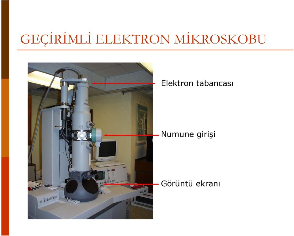 tabancası Numune