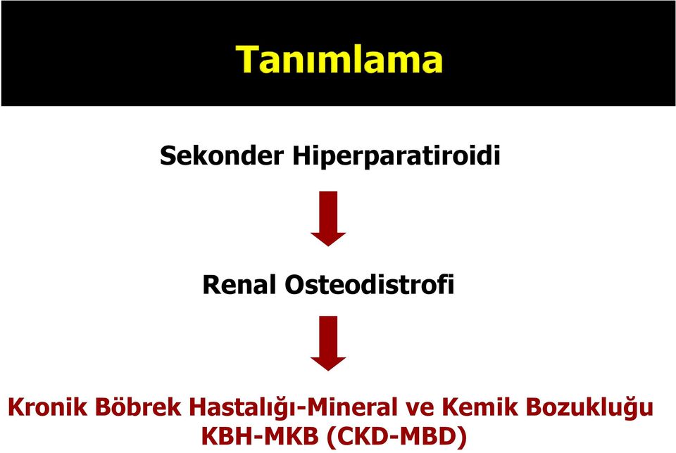 Böbrek Hastalığı-Mineral ve