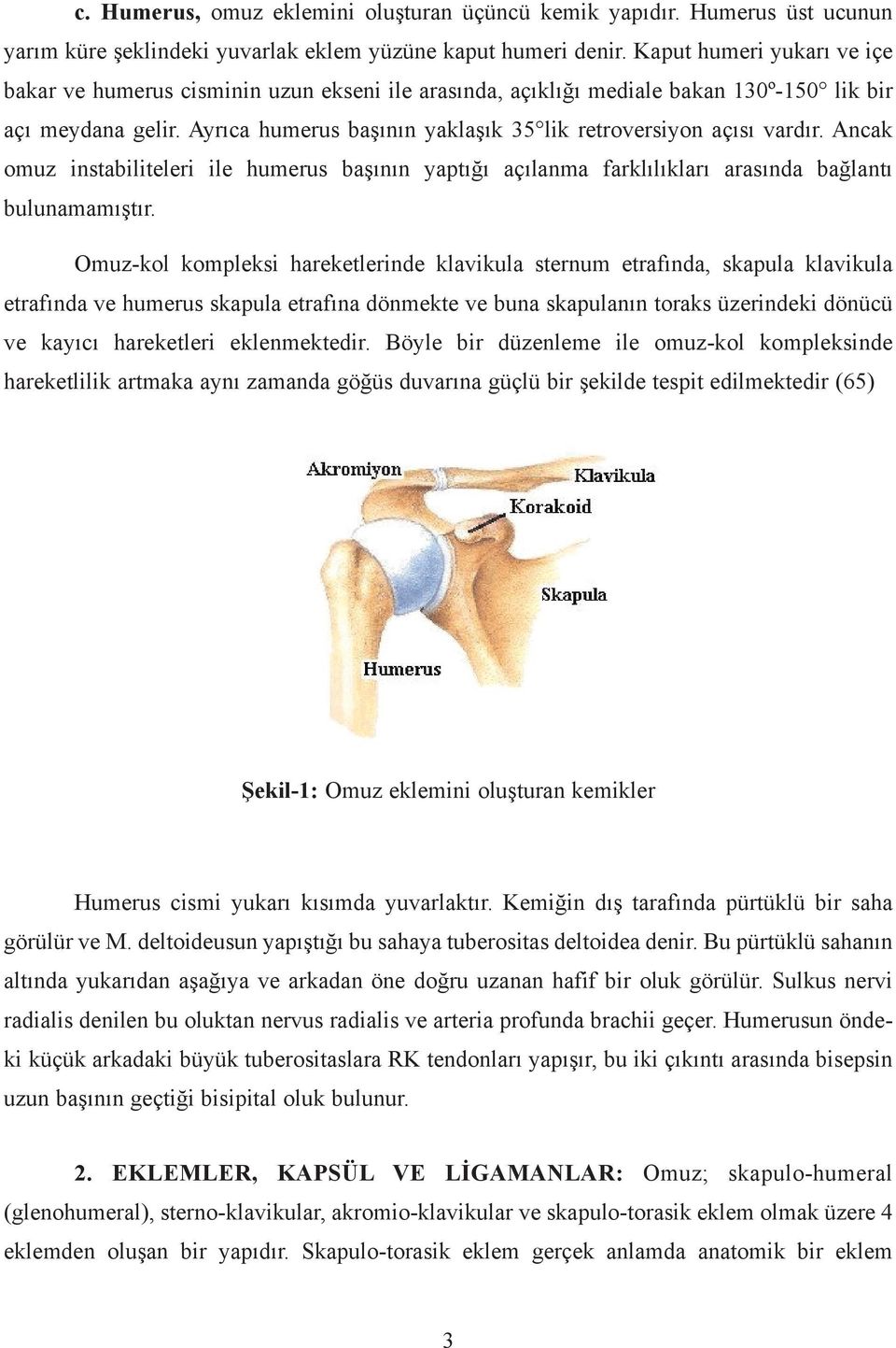 Ayrýca humerus baþýnýn yaklaþýk 35 lik retroversiyon açýsý vardýr. Ancak omuz instabiliteleri ile humerus baþýnýn yaptýðý açýlanma farklýlýklarý arasýnda baðlantý bulunamamýþtýr.