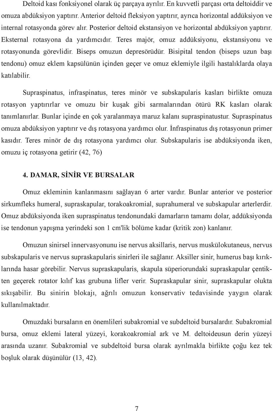 Eksternal rotasyona da yardýmcýdýr. Teres majör, omuz addüksiyonu, ekstansiyonu ve rotasyonunda görevlidir. Biseps omuzun depresörüdür.