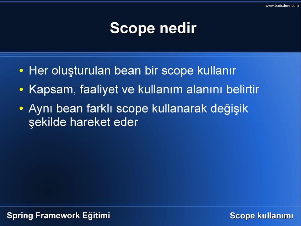 kullanım alanını belirtir Aynı bean