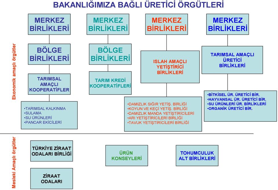 YETİŞ. BİRLİĞİ KOYUN VE KEÇİ YETİŞ.