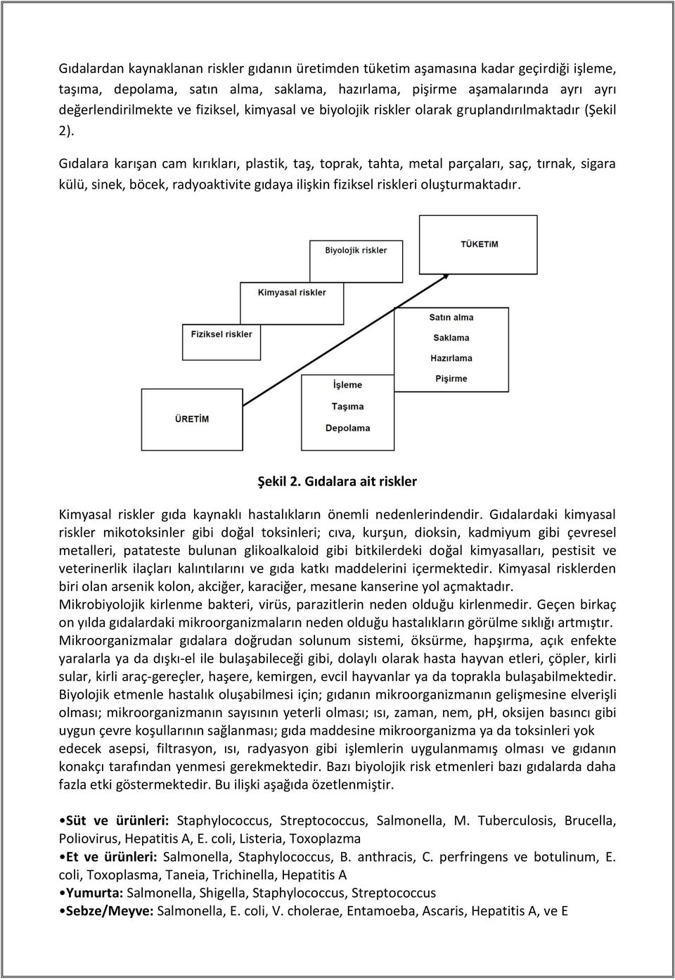 Gıdalara karışan cam kırıkları, plastik, taş, toprak, tahta, metal parçaları, saç, tırnak, sigara külü, sinek, böcek, radyoaktivite gıdaya ilişkin fiziksel riskleri oluşturmaktadır. Şekil 2.