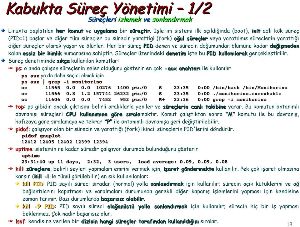 olarak yaşar ve ölürler. Her bir süreç PID denen ve sürecin doğumundan ölümüne kadar değişmeden kalan essiz bir kimlik numarasına sahiptir.