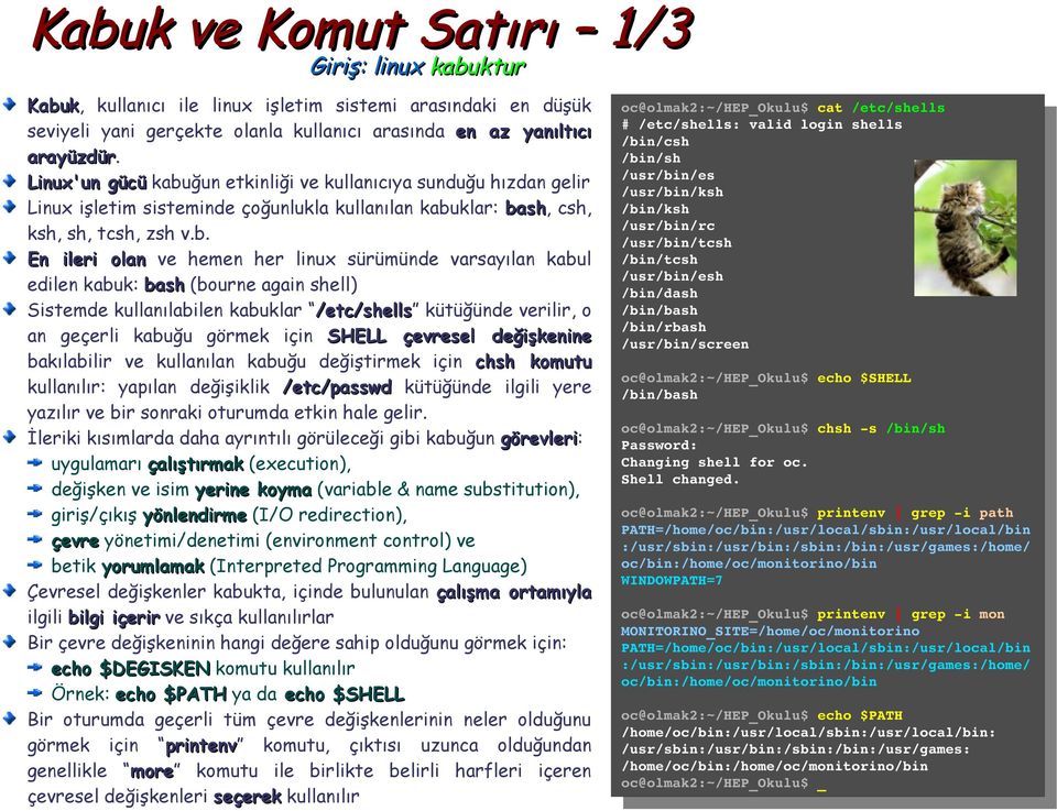 ğun etkinliği ve kullanıcıya sunduğu hızdan gelir Linux işletim sisteminde çoğunlukla kullanılan kabu