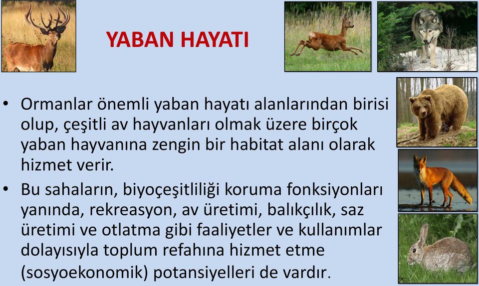 Bu sahaların, biyoçeşitliliği koruma fonksiyonları yanında, rekreasyon, av üretimi, balıkçılık, saz