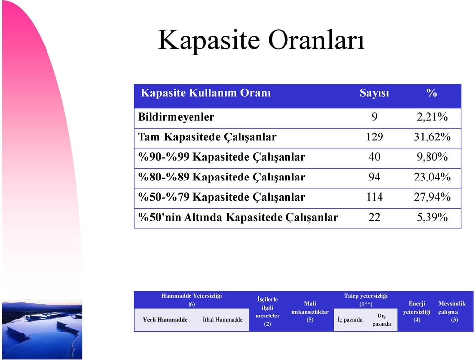 Altında Kapasitede Çalışanlar 22 5,39% Hammadde Yetersizliği (6) İşçilerle ilgili meseleler (2) Mali imkansızlıklar