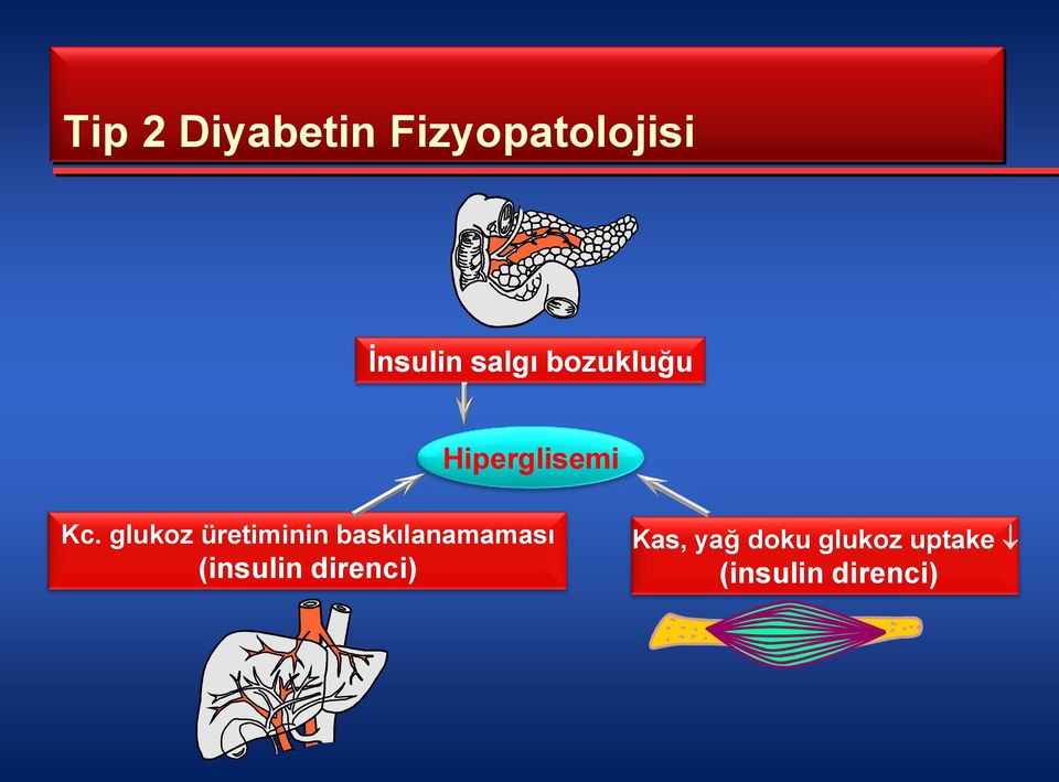 glukoz üretiminin baskılanamaması (insulin