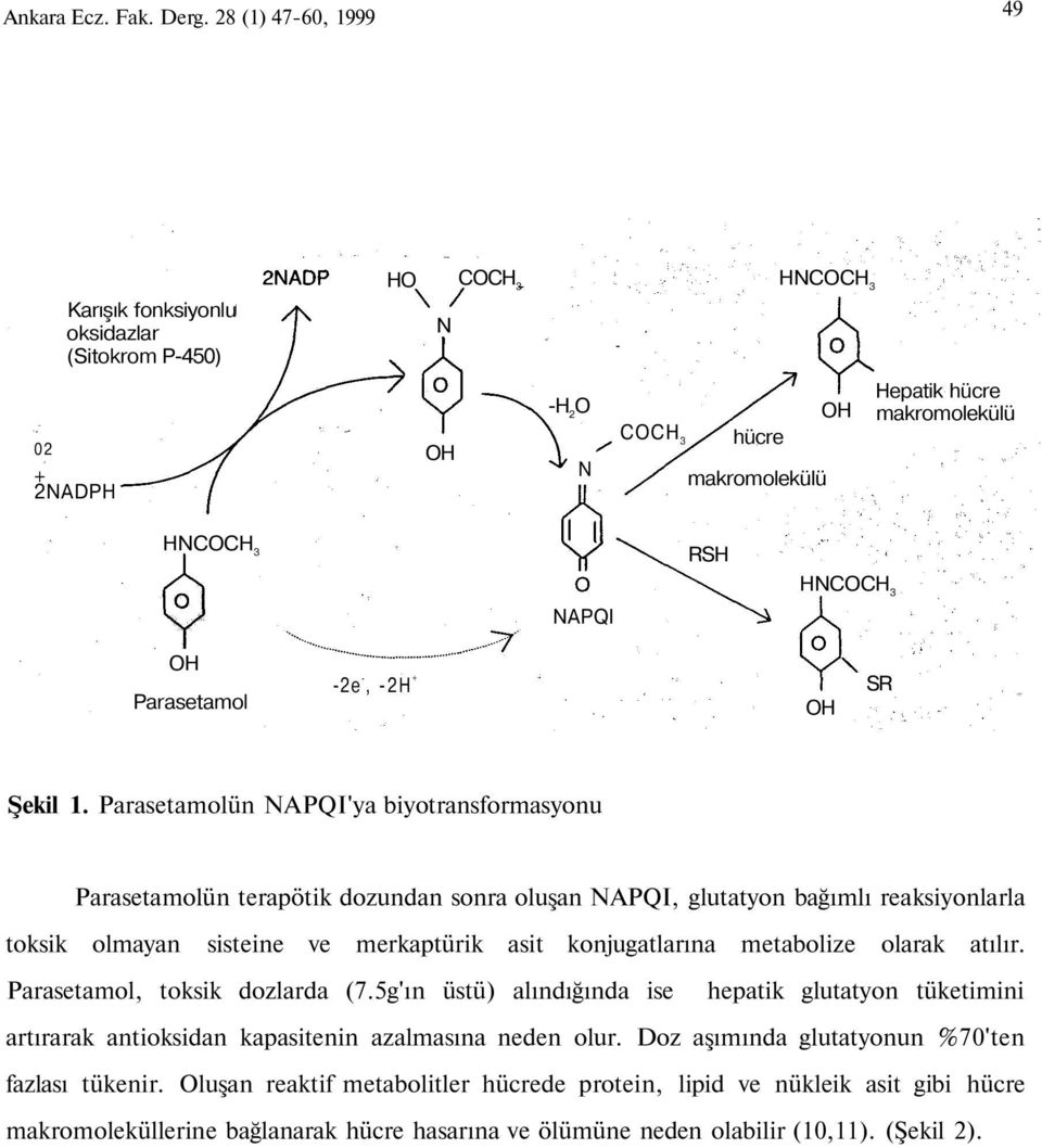 Parasetamol -2e -, -2H + SR Şekil 1.