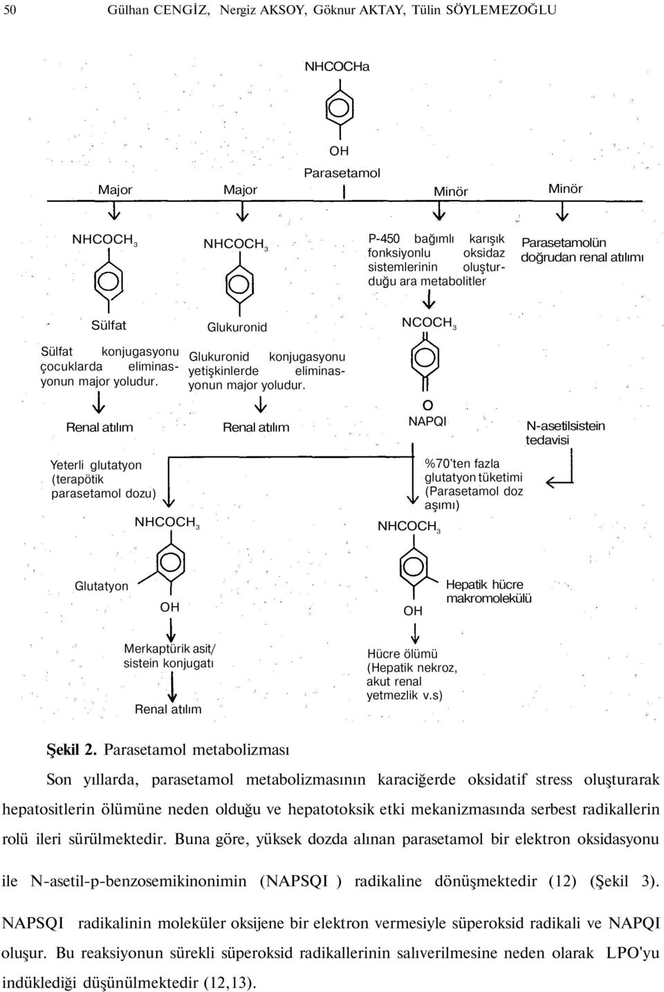 Glukuronid konjugasyonu yetişkinlerde eliminasyonun major yoludur.