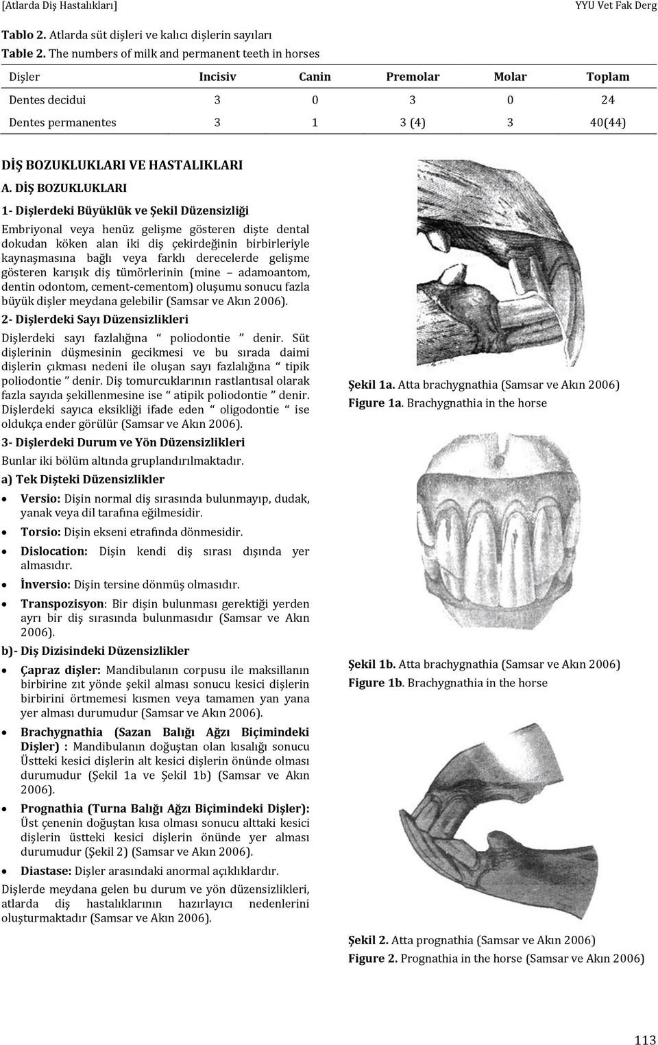 DİŞ BOZUKLUKLARI 1- Dişlerdeki Büyüklük ve Şekil Düzensizliği Embriyonal veya henüz gelişme gösteren dişte dental dokudan köken alan iki diş çekirdeğinin birbirleriyle kaynaşmasına bağlı veya farklı