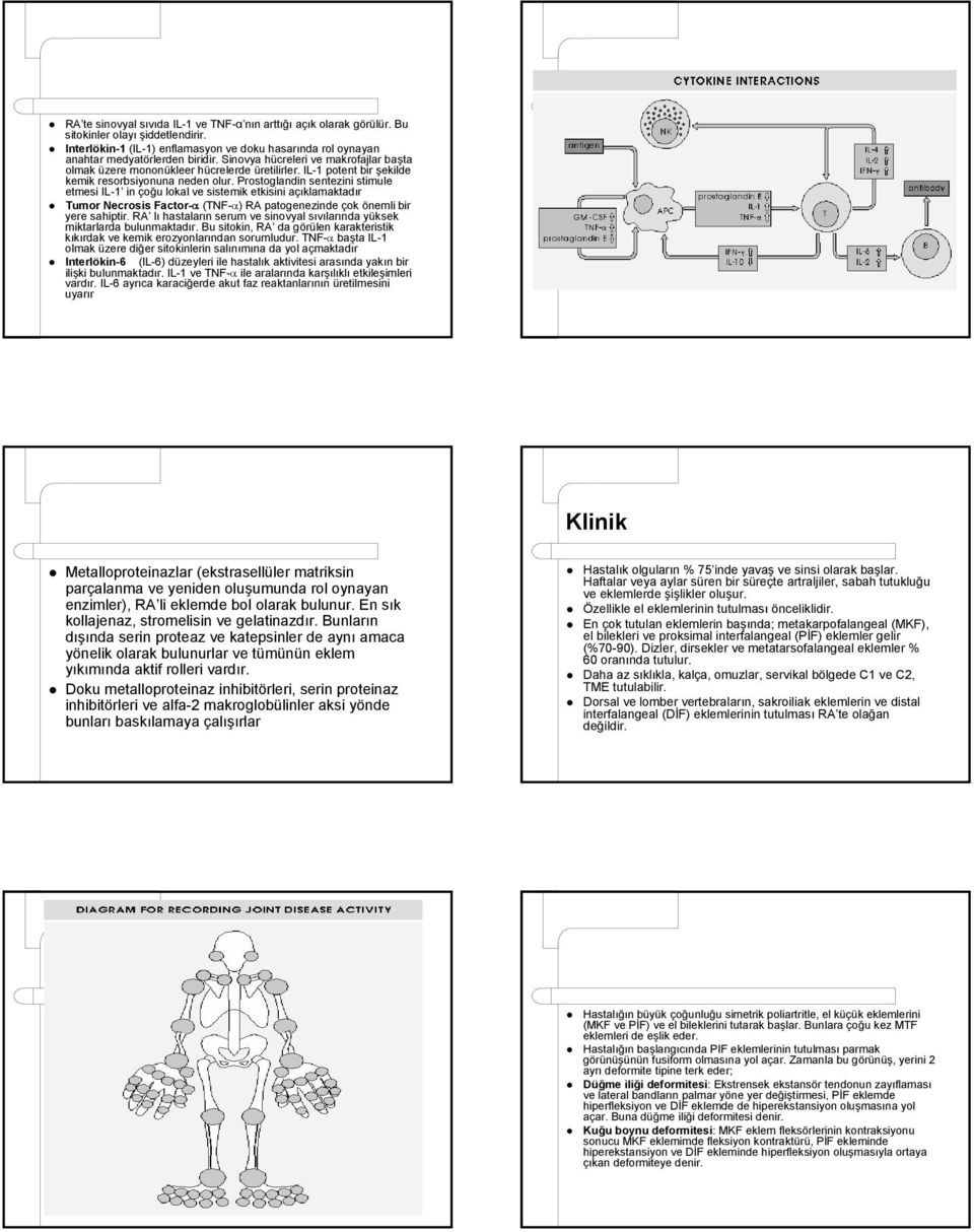 Prostoglandin sentezini stimule etmesi IL-1 in çoğu lokal ve sistemik etkisini açıklamaktadır Tumor Necrosis Factor-α (TNF-α) RA patogenezinde çok önemli bir yere sahiptir.