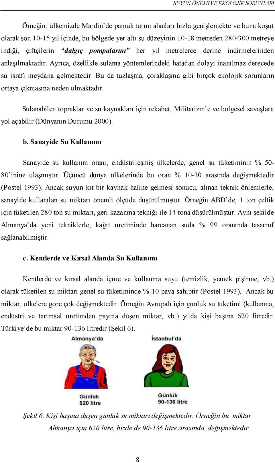 Bu da tuzlaşma, çoraklaşma gibi birçok ekolojik sorunların ortaya çıkmasına neden olmaktadır.