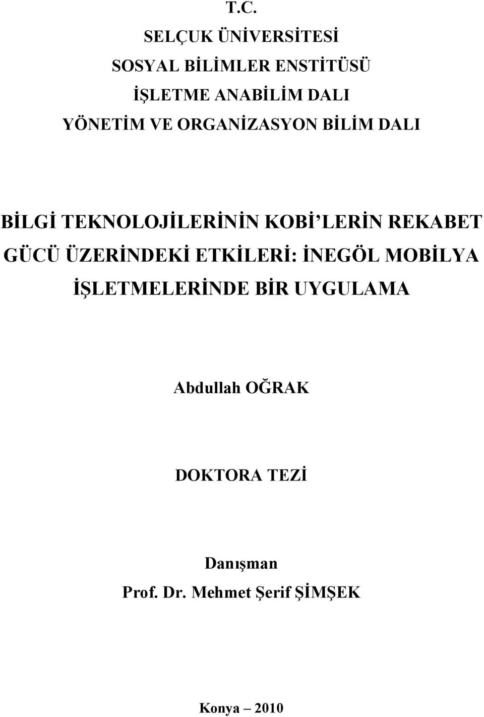 REKABET GÜCÜ ÜZERİNDEKİ ETKİLERİ: İNEGÖL MOBİLYA İŞLETMELERİNDE BİR