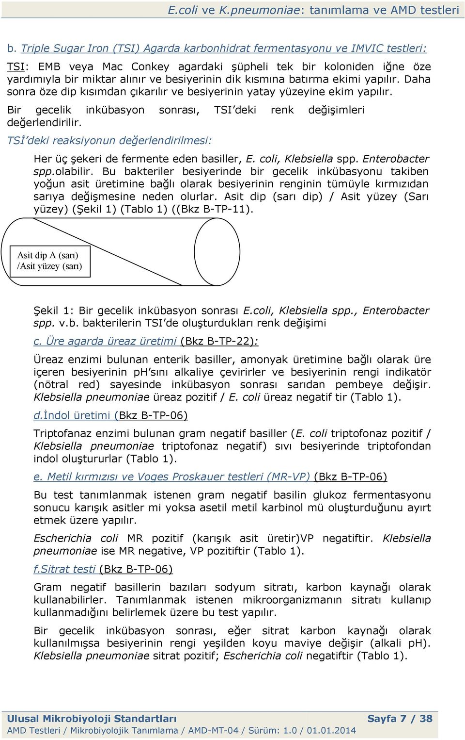 TSİ deki reaksiyonun değerlendirilmesi: 4 Her üç şekeri de fermente eden basiller, E. coli, Klebsiella spp. Enterobacter spp.olabilir.