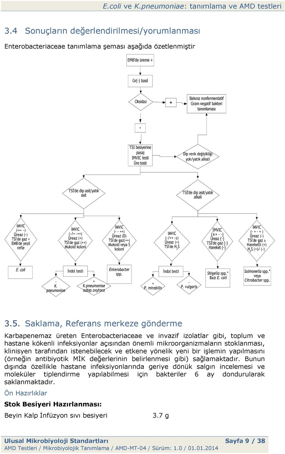 (-/+ -++) Üreaz (+) TSİ'de gaz (++) Mukoid koloni İMVIC (- - ++) Üreaz (D) TSİ'de gaz(++) Mukoid veya S koloni IMVIC (-/++ -±) Üreaz (+) TSİ'de H 2 S İMVIC (±+ - -) Üreaz (-) TSİ'de gaz (-) Hareket