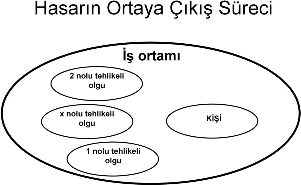 olgu İş ortamı x nolu