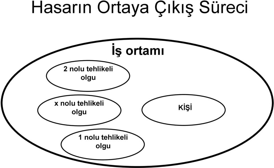 olgu İş ortamı x nolu