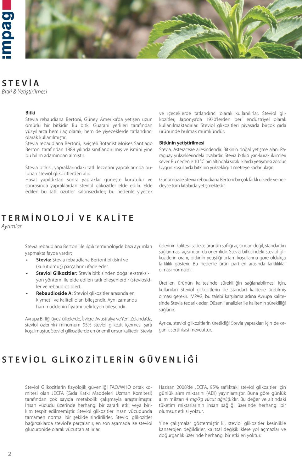 Stevia rebaudiana Bertoni, İsviçrèli Botanist Moises Santiago Bertoni tarafından 1889 yılında sınıflandırılmış ve ismini yine bu bilim adamından almıştır.