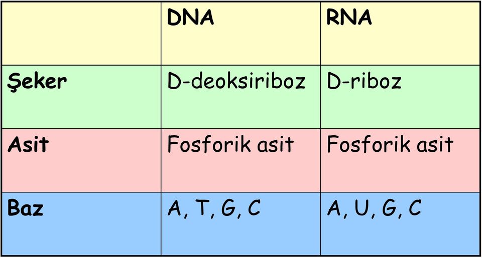 Asit Fosforik asit