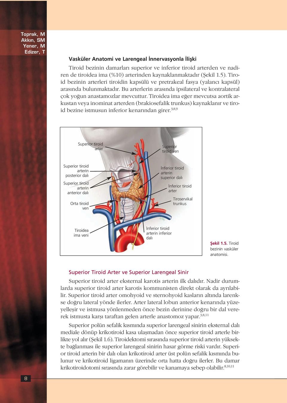 Bu arterlerin aras nda ipsilateral ve kontralateral çok yo un anastamozlar mevcuttur.