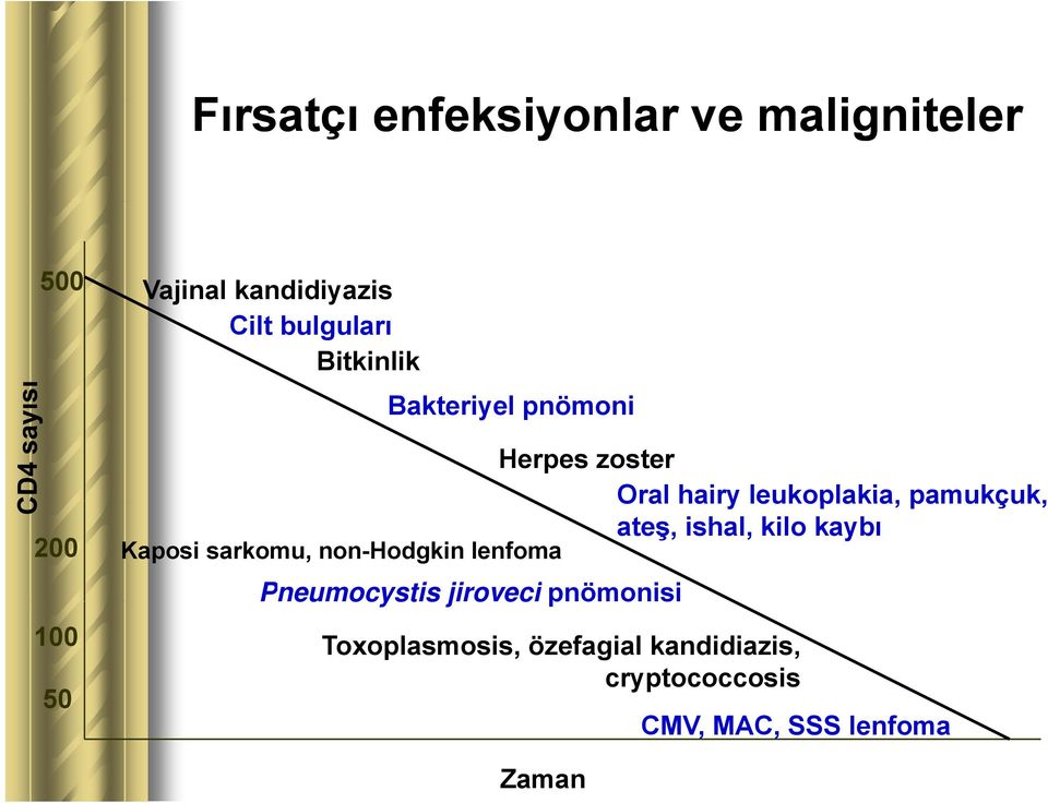 pamukçuk, ateş, ishal, kilo kaybı Kaposi sarkomu, non-hodgkin lenfoma Pneumocystis