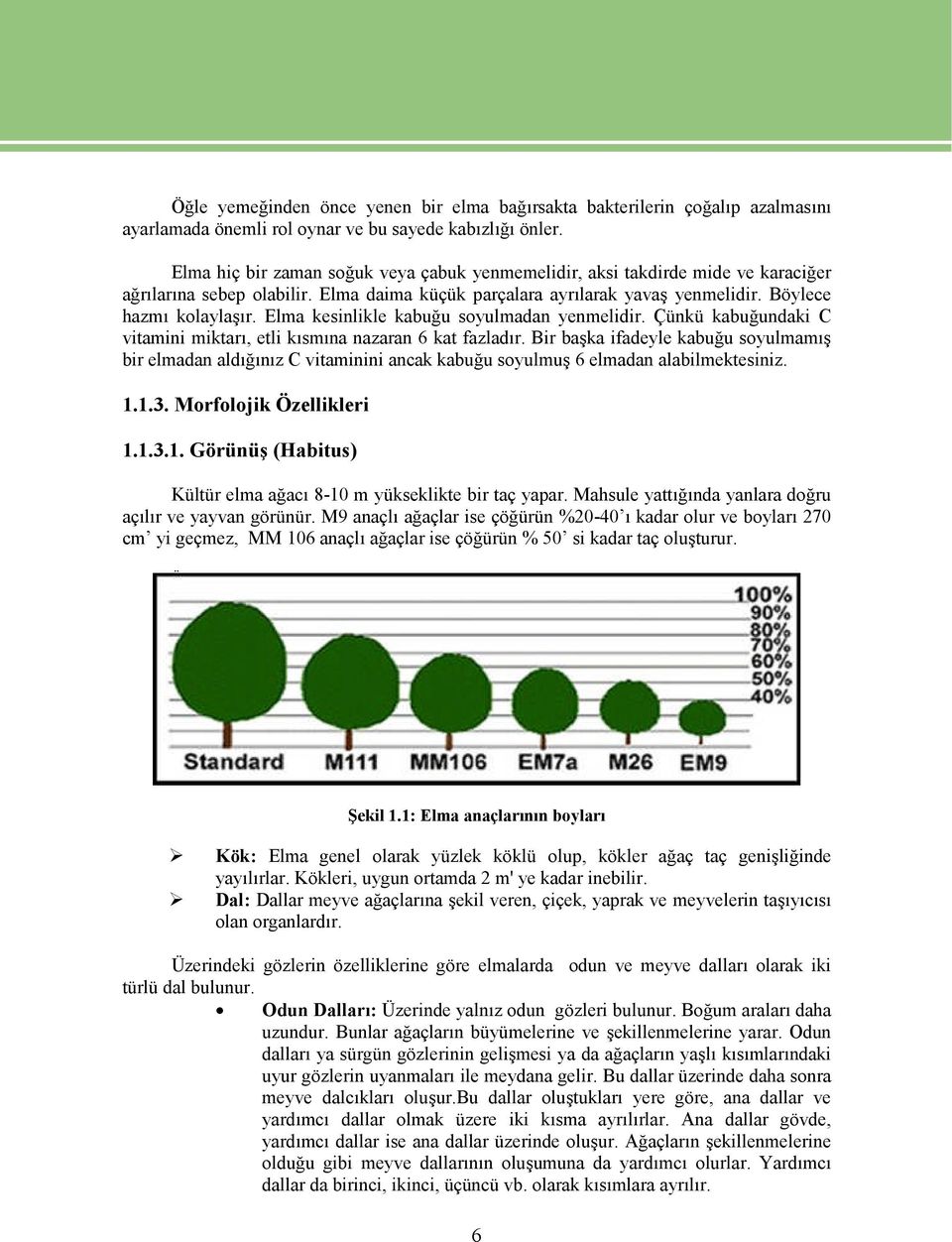 Elma kesinlikle kabuğu soyulmadan yenmelidir. Çünkü kabuğundaki C vitamini miktarı, etli kısmına nazaran 6 kat fazladır.