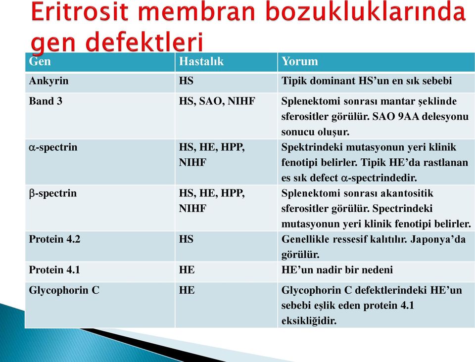 Tipik HE da rastlanan es sık defect α-spectrindedir. Splenektomi sonrası akantositik sferositler görülür. Spectrindeki mutasyonun yeri klinik fenotipi belirler.