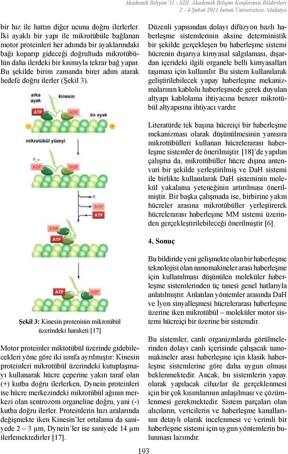 Bu şekilde birim zamanda birer adım atarak hedefe doğru ilerler (Şekil 3).