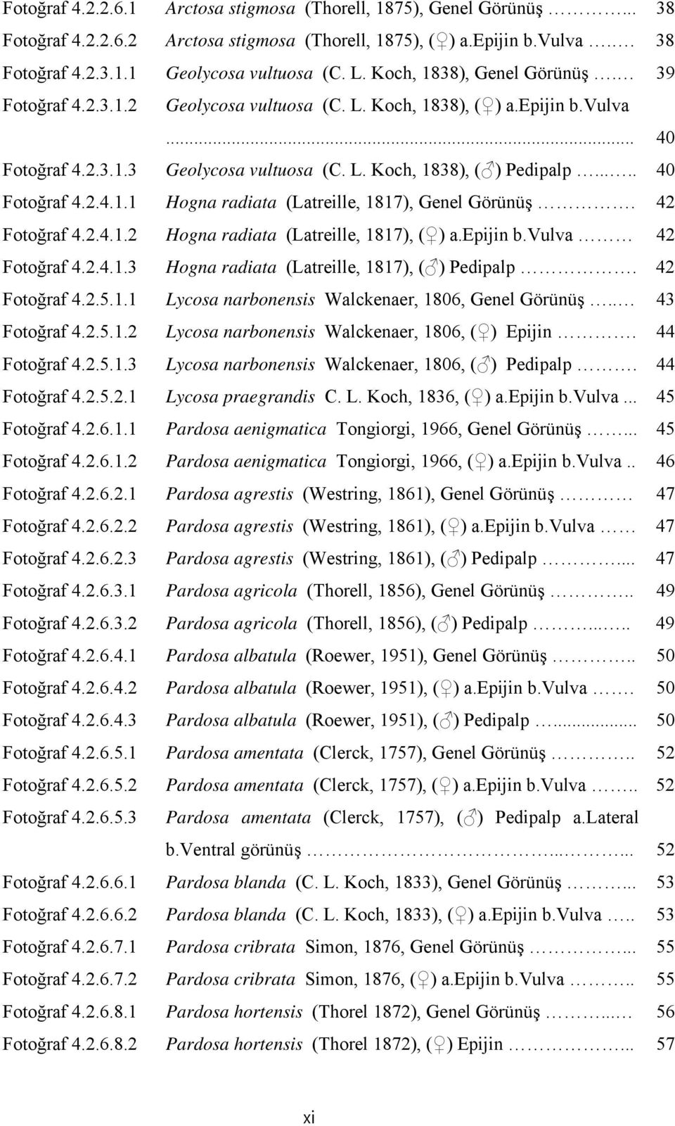 .... 40 Fotoğraf 4.2.4.1.1 Hogna radiata (Latreille, 1817), Genel Görünüş. 42 Fotoğraf 4.2.4.1.2 Hogna radiata (Latreille, 1817), ( ) a.epijin b.vulva 42 Fotoğraf 4.2.4.1.3 Hogna radiata (Latreille, 1817), ( ) Pedipalp.