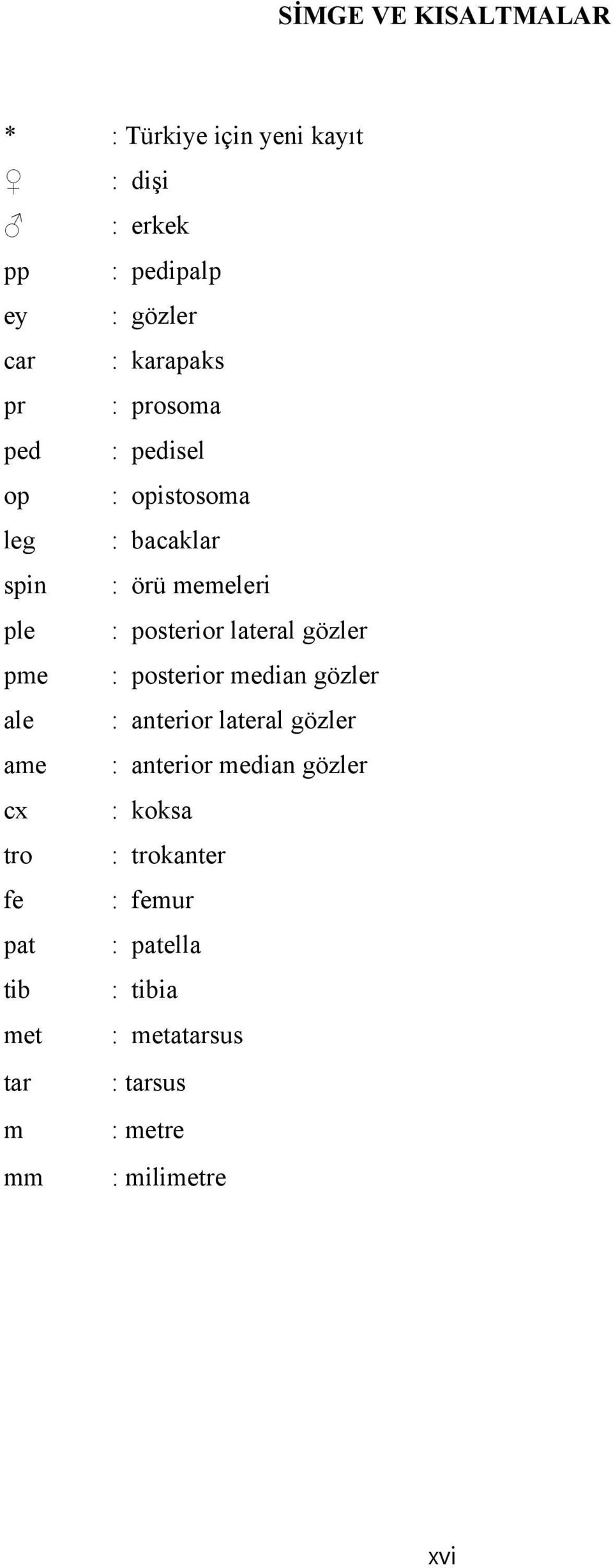 gözler pme : posterior median gözler ale : anterior lateral gözler ame : anterior median gözler cx : koksa