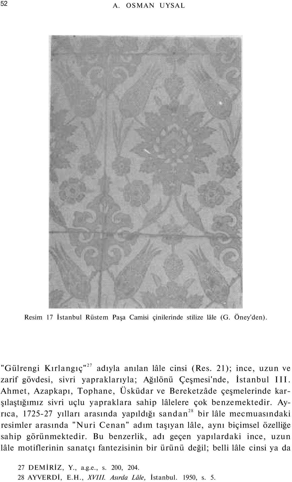 Ahmet, Azapkapı, Tophane, Üsküdar ve Bereketzâde çeşmelerinde karşılaştığımız sivri uçlu yapraklara sahip lâlelere çok benzemektedir.