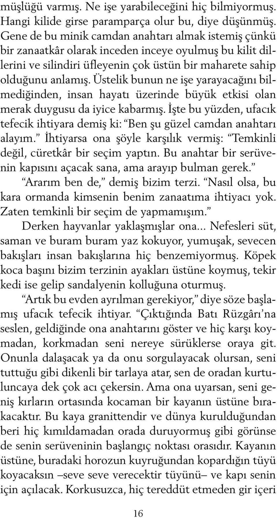 Üstelik bunun ne işe yarayacağını bilmediğinden, insan hayatı üzerinde büyük etkisi olan merak duygusu da iyice kabarmış.