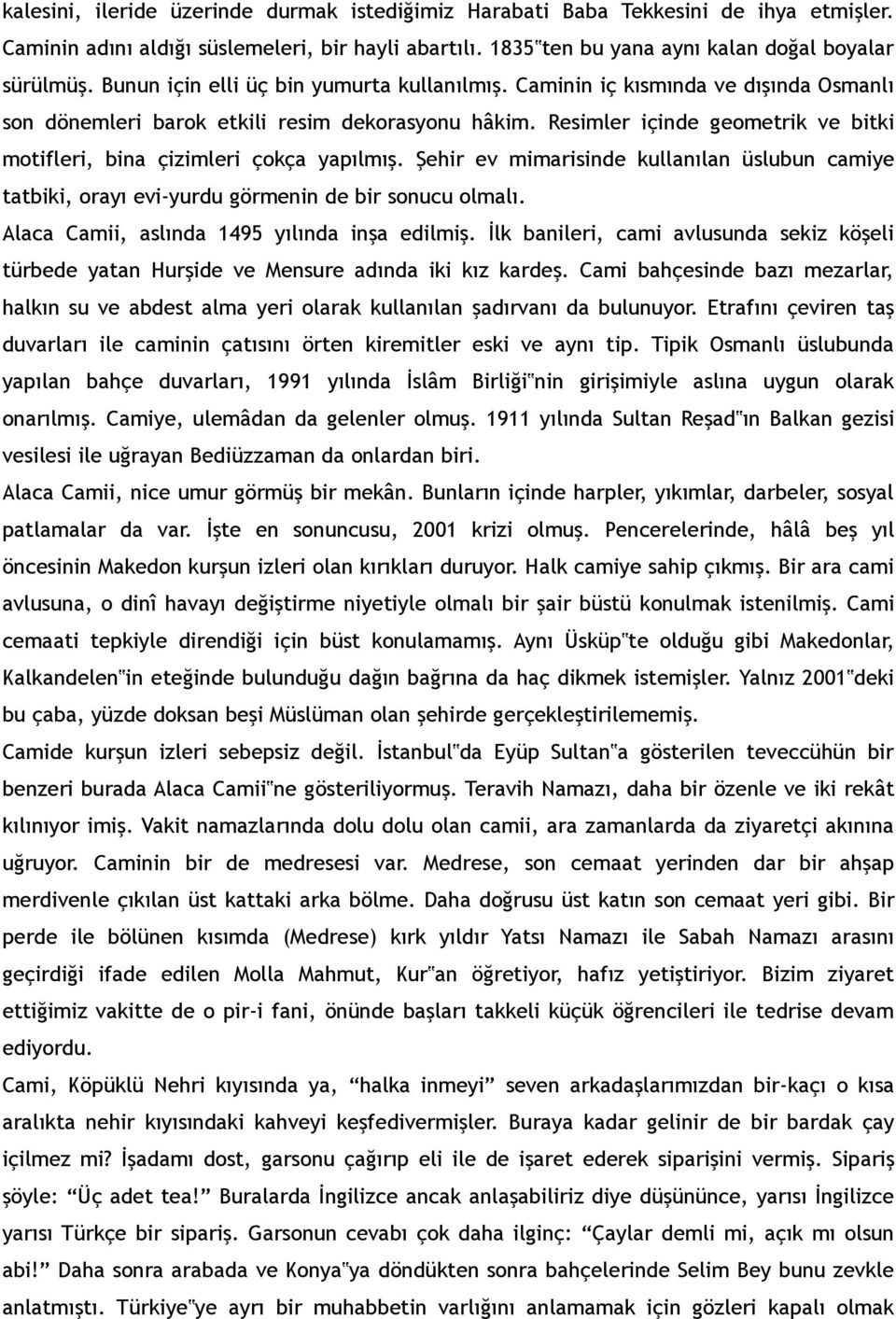 Resimler içinde geometrik ve bitki motifleri, bina çizimleri çokça yapılmış. Şehir ev mimarisinde kullanılan üslubun camiye tatbiki, orayı evi-yurdu görmenin de bir sonucu olmalı.