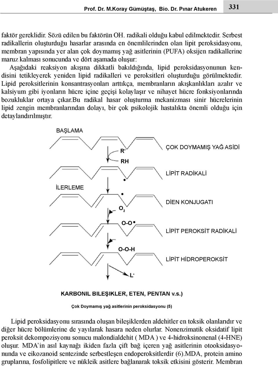 sonucunda ve dört aşamada oluşur: Aşağıdaki reaksiyon akışına dikkatli bakıldığında, lipid peroksidasyonunun kendisini tetikleyerek yeniden lipid radikalleri ve peroksitleri oluşturduğu görülmektedir.