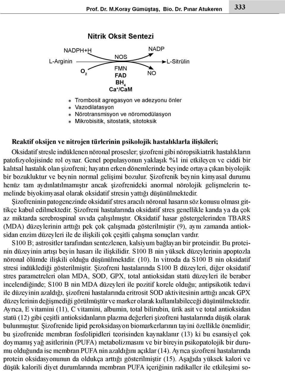 Pınar Atukeren 333 NADPH+H L-Arginin Nitrik Oksit Sentezi NOS FMN FAD BH 4 Ca + /CaM NADP NO L-Sitrülin Trombosit agregasyon ve adezyonu önler Vazodilatasyon Nörotransmisyon ve nöromodülasyon