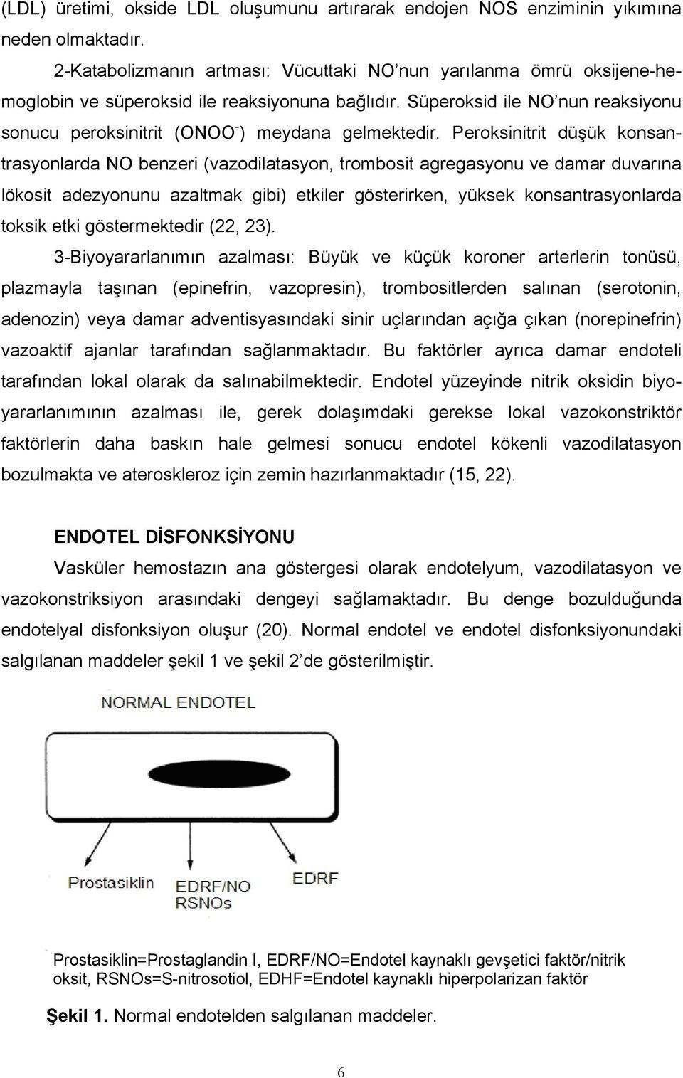 Süperoksid ile NO nun reaksiyonu sonucu peroksinitrit (ONOO - ) meydana gelmektedir.