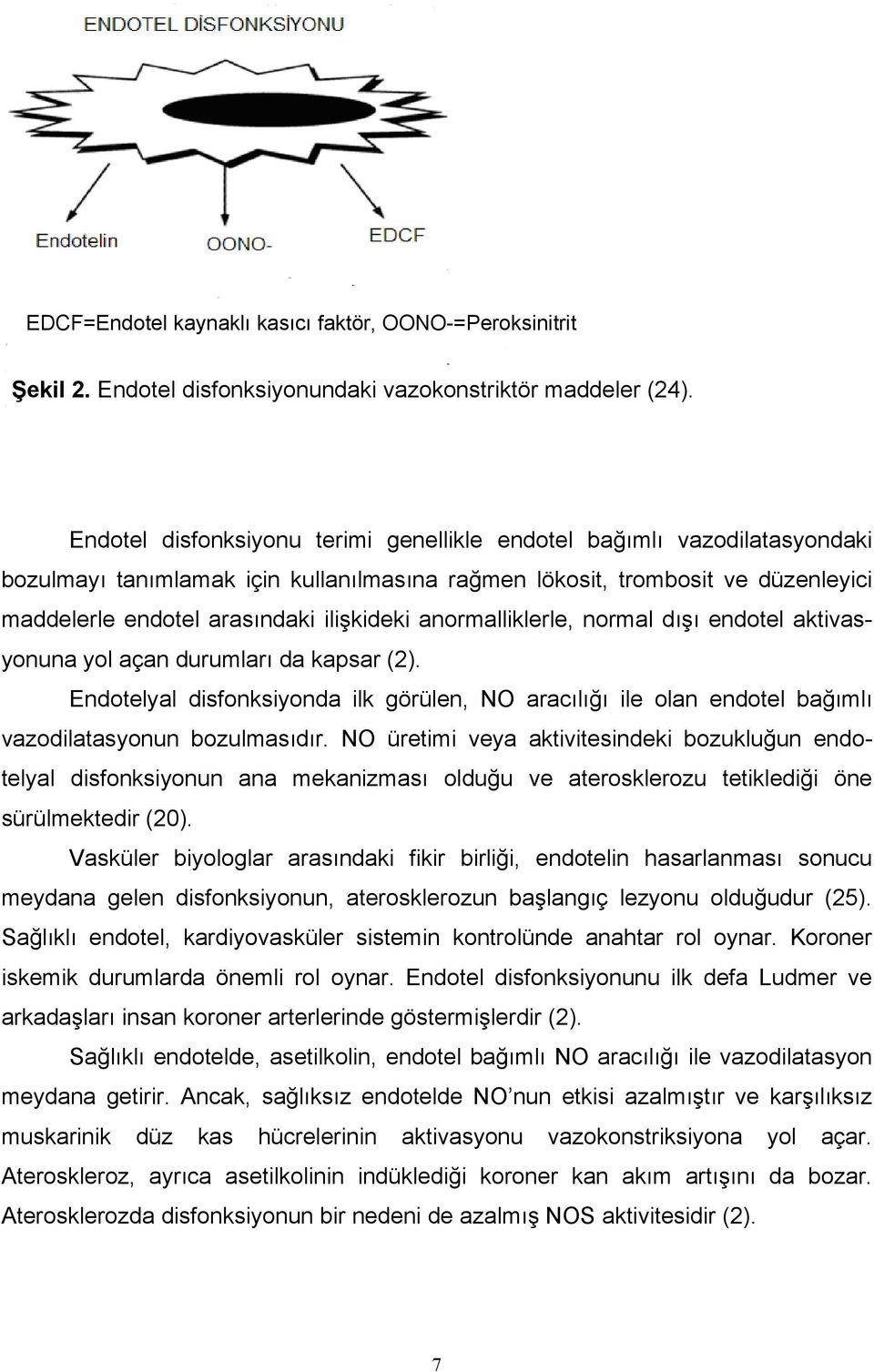 anormalliklerle, normal dışı endotel aktivasyonuna yol açan durumları da kapsar (2). Endotelyal disfonksiyonda ilk görülen, NO aracılığı ile olan endotel bağımlı vazodilatasyonun bozulmasıdır.