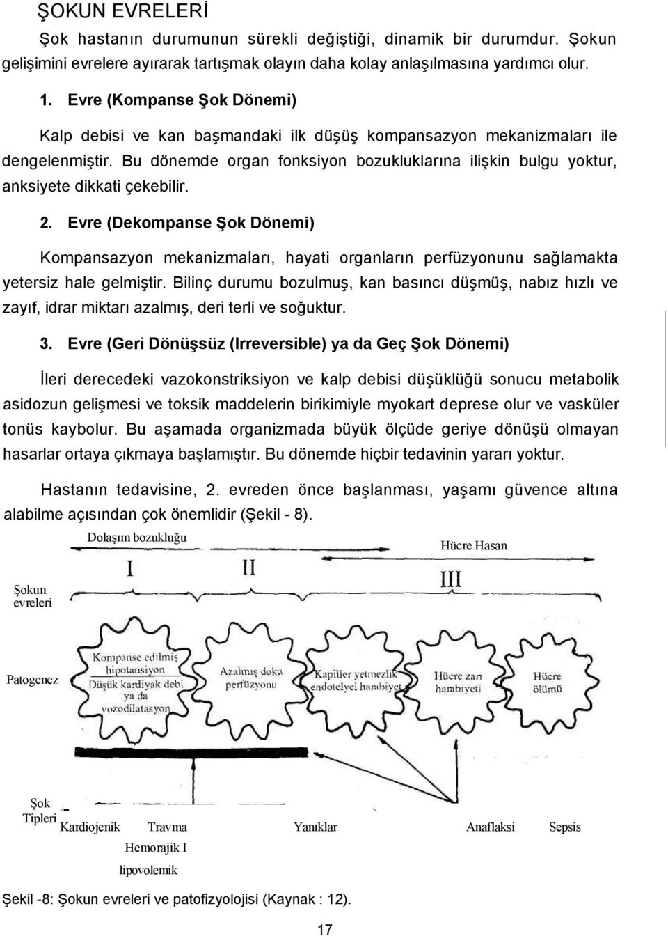 Bu dönemde organ fonksiyon bozukluklarına ilişkin bulgu yoktur, anksiyete dikkati çekebilir. 2.