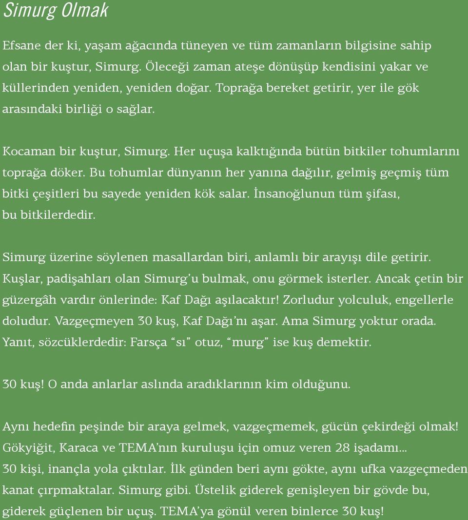 Bu tohumlar dünyanın her yanına dağılır, gelmiş geçmiş tüm bitki çeşitleri bu sayede yeniden kök salar. İnsanoğlunun tüm şifası, bu bitkilerdedir.