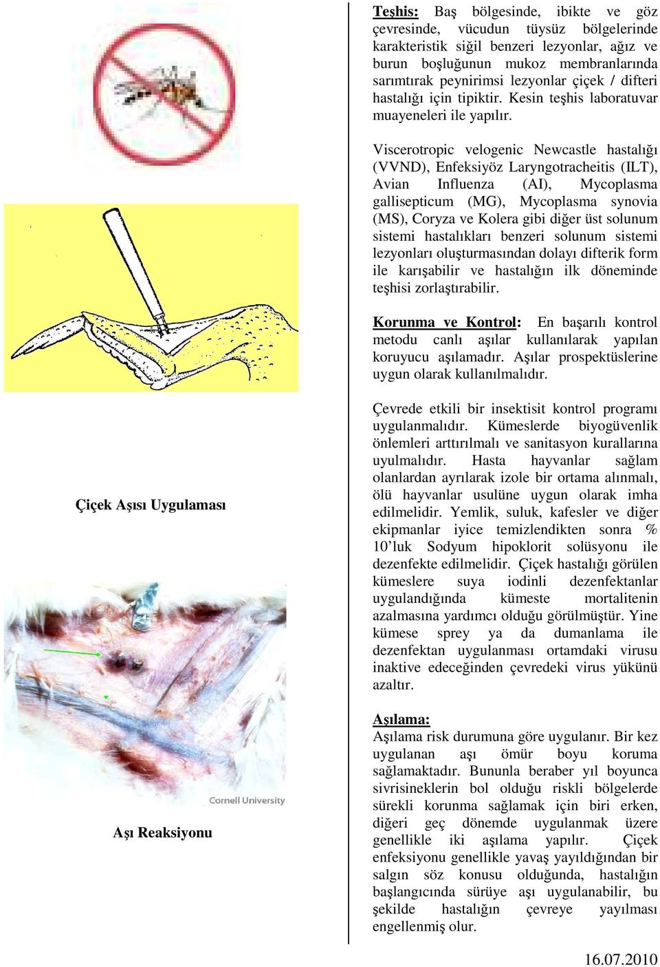 Viscerotropic velogenic Newcastle hastalığı (VVND), Enfeksiyöz Laryngotracheitis (ILT), Avian Influenza (AI), Mycoplasma gallisepticum (MG), Mycoplasma synovia (MS), Coryza ve Kolera gibi diğer üst