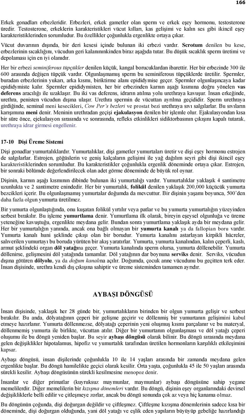 Vücut duvarının dışında, bir deri kesesi içinde bulunan iki erbezi vardır. Scrotum denilen bu kese, erbezlerinin sıcaklığını, vücudun geri kalanınınkinden biraz aşağıda tutar.