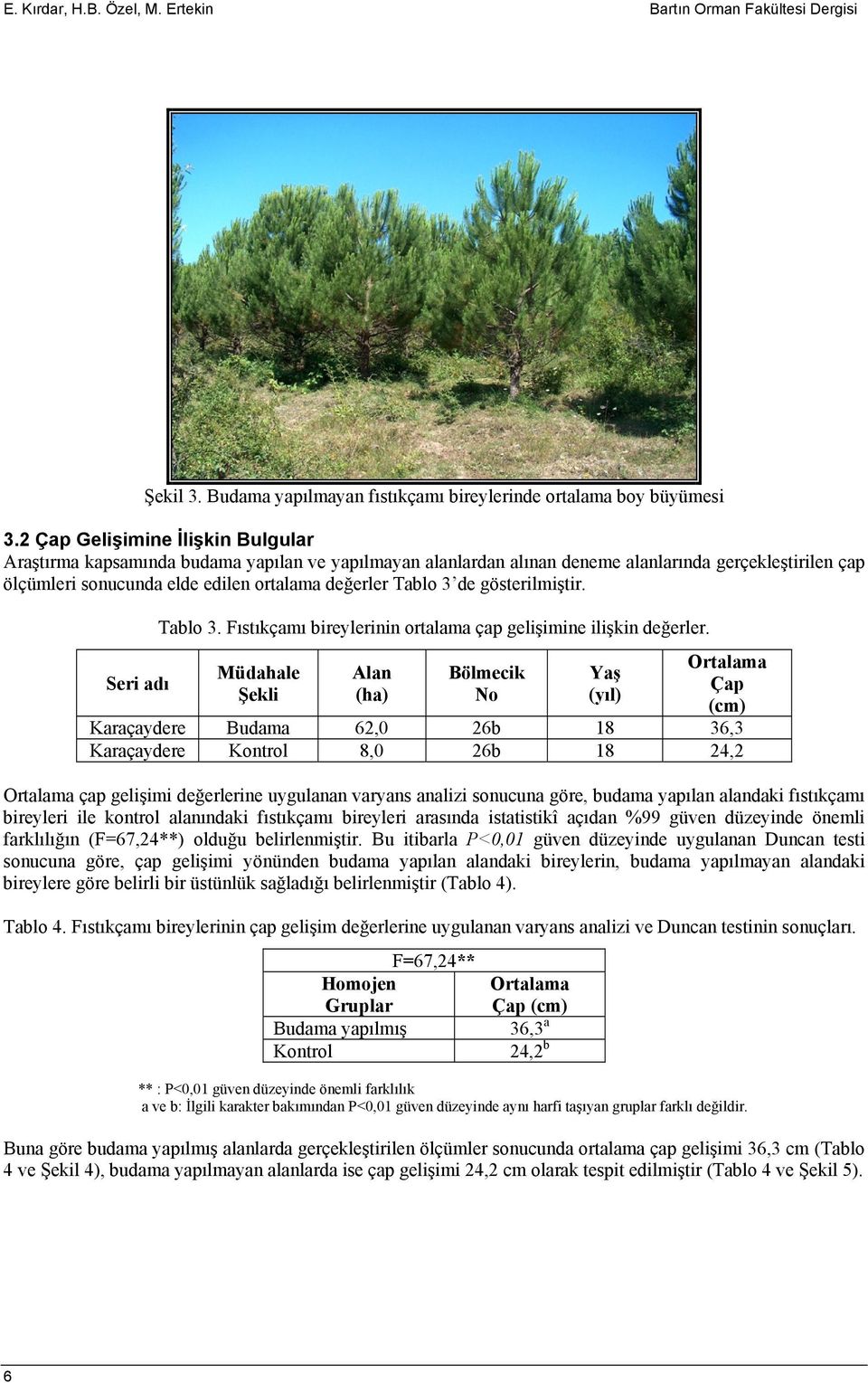 de gösterilmiştir. Seri adı Tablo 3. Fıstıkçamı bireylerinin ortalama çap gelişimine ilişkin değerler.