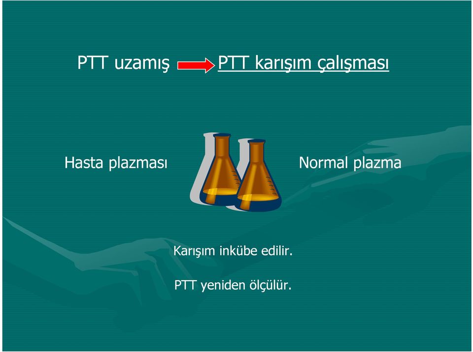 Normal plazma Karışım