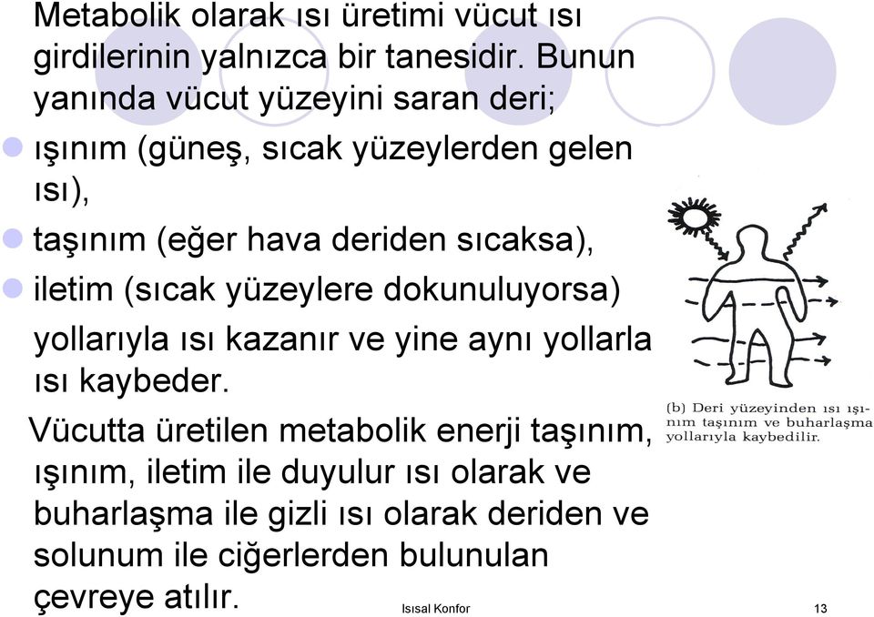 iletim (sıcak yüzeylere dokunuluyorsa) yollarıyla ısı kazanır ve yine aynı yollarla ısı kaybeder.