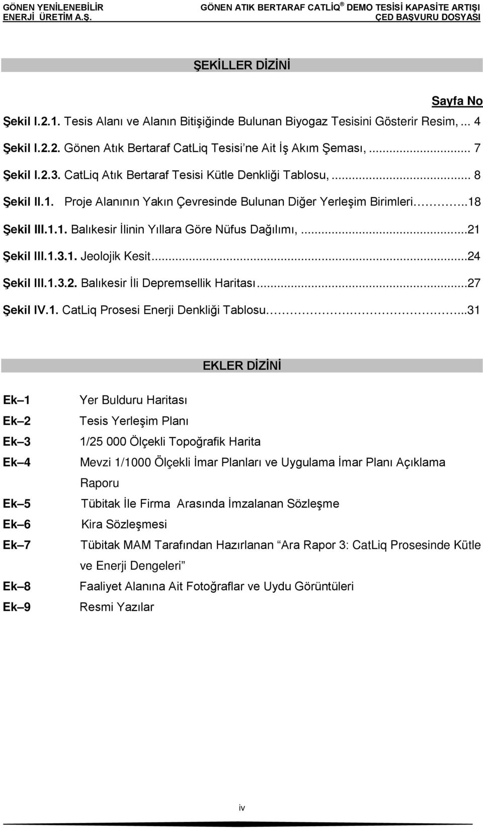 ..21 Şekil III.1.3.1. Jeolojik Kesit...24 Şekil III.1.3.2. Balıkesir İli Depremsellik Haritası...27 Şekil IV.1. CatLiq Prosesi Enerji Denkliği Tablosu.