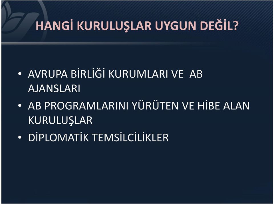 AJANSLARI AB PROGRAMLARINI YÜRÜTEN