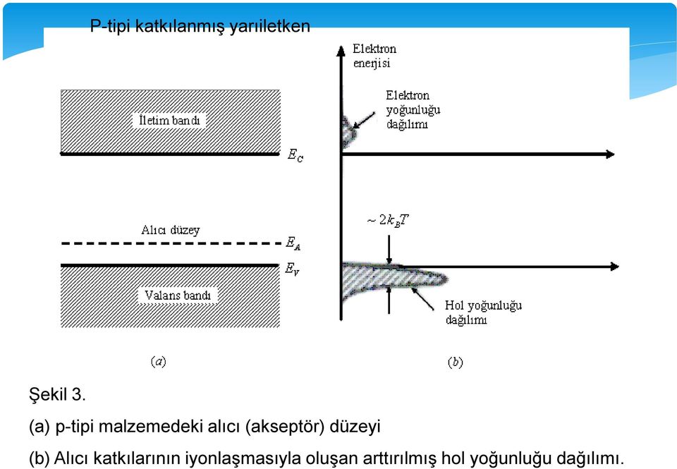 düzeyi (b) Alıcı katkılarının