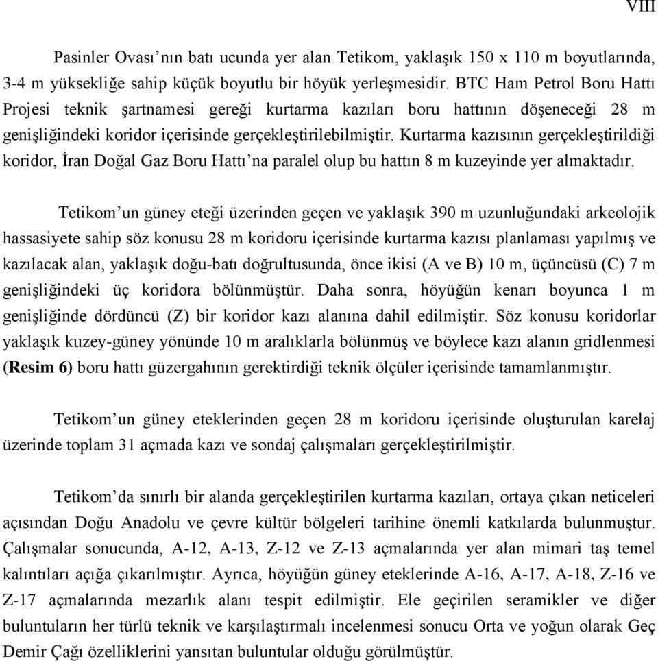 Kurtarma kazısının gerçekleştirildiği koridor, İran Doğal Gaz Boru Hattı na paralel olup bu hattın 8 m kuzeyinde yer almaktadır.