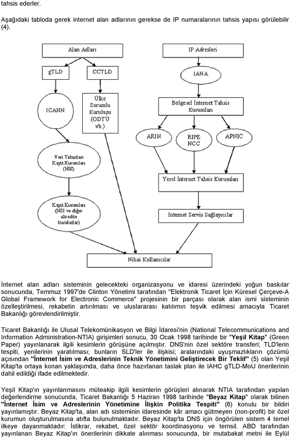 Framework for Electronic Commerce" projesinin bir parçası olarak alan ismi sisteminin özelleştirilmesi, rekabetin artırılması ve uluslararası katılımın teşvik edilmesi amacıyla Ticaret Bakanlığı